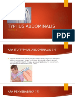Typhus Abdominalis