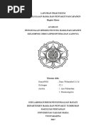 Download Laporan Praktikum Phhpp Hama 2 by Danu  SN342789575 doc pdf