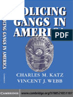 Gangs in America