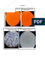 Lampiran Hematologi Eusi Dan Trom