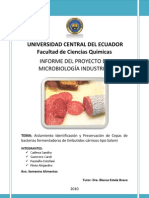 Informe de Microbiologia Salami 