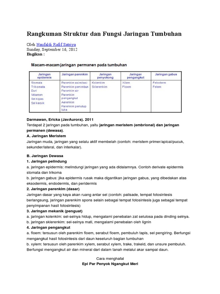  Rangkuman  Struktur Dan Fungsi Jaringan  Tumbuhan BIO 8