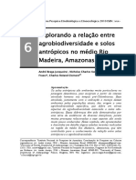 Explorando a relação entre agrobiodiversidade e solos antrópicos no médio Rio Madeira, Amazonas, Brasil. Junqueira et al. 2010.pdf