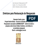 ClementeManguez PDF