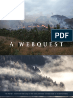 Deforestation Webquest