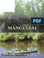 mangue-131027105517-phpapp02