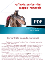 periartrita scapulohumerala scribd acupunctura pentru durerea articulațiilor