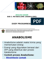 Bab 4 Metabolisme-Anabolisme