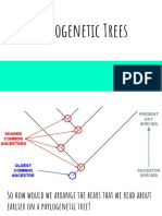 01 phylogenetic trees