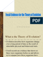03 fossil evidence for the theory of evolution