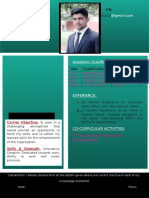 Hand Made CV