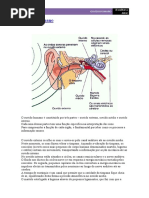 ouvido.pdf