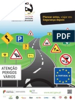 Cartaz ConducaoAutomovelProfissional