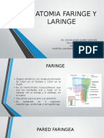 Anatomia Faringe y Laringe
