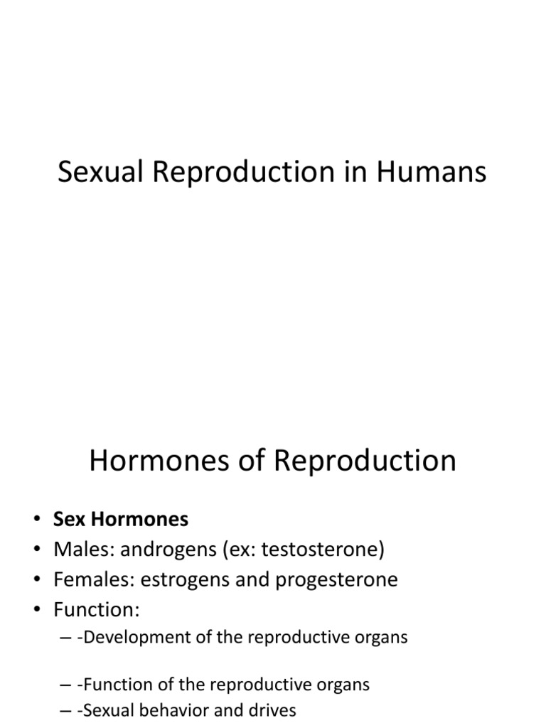 Human Sexual Reproduction Overview | PDF | Menstrual Cycle | Ovary