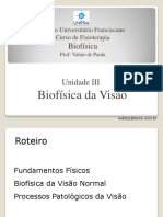 Aula 10 Biofísica da Visão.pdf