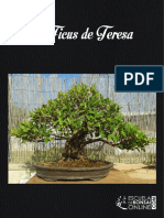 FICHA-EL-FICUS-DE-TERESA.pdf