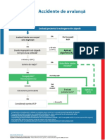 Poster SpecCircs Avalanche Accident Algorithm