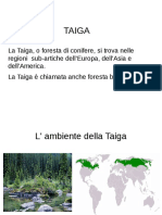 Taiga