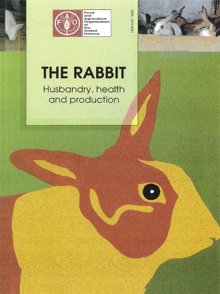 Rabbit Husbandry and Health Guide | PDF