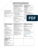 Dieta Curativa de Eliminación y Regeneración Semicrudívora Cuadro (Recovered)