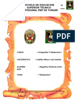 SEGURIDAD CIUDADANA.docx