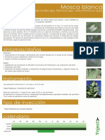 ficha mosca blanca.pdf