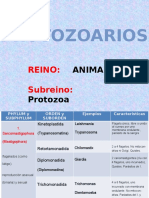 Protozoarios
