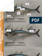 Meristic Count Data for Two Fish Species