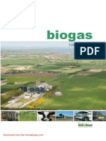 Biogas Handbook