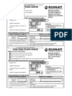 Copia de Guia Pagos Varios (TodoDocumentos - Info)