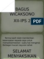 BAGUS WICAKSONO (SAYURAN)