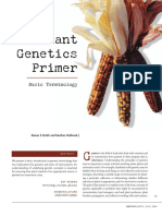 A Plant Genetics Primer PDF