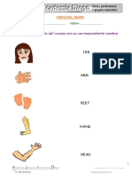 Partes Del Cuerpo PDF