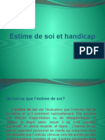 Estime de Soi Et Handicap-2