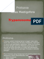 Protozoa Mastigofora Trypanosoma Sp