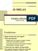 Geomigas 2 - Fasies Organik
