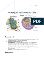 Properties of Proteins