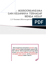 1.3 Peranan Mikroorganisma Berfaedah