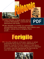 Ferigile