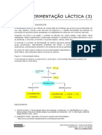 Chucrute - Fermentação Lática