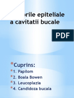 Tumorile Epiteliale A Cavitatii Bucale