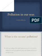 Pollution in Our Seas