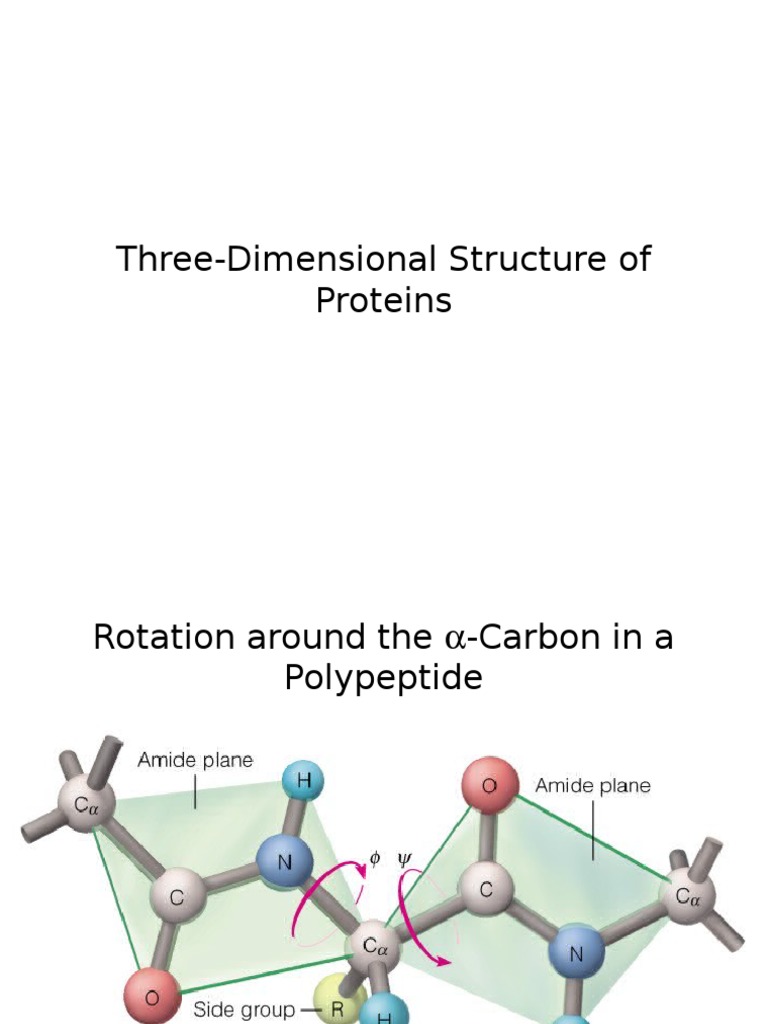 ThreeDimensional Structure of Proteins Collagen Protein Folding
