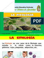 Citología 2