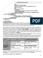 Bioquimica Metabolismo Celular PDF
