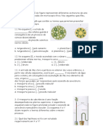 Ficha Biologia 10º - Distribuição Da Matéria