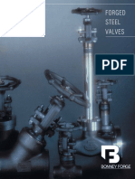 FSV PDF