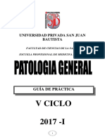 G. P. Patologia General 2017-I