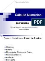 Calculo_Numerico.pdf